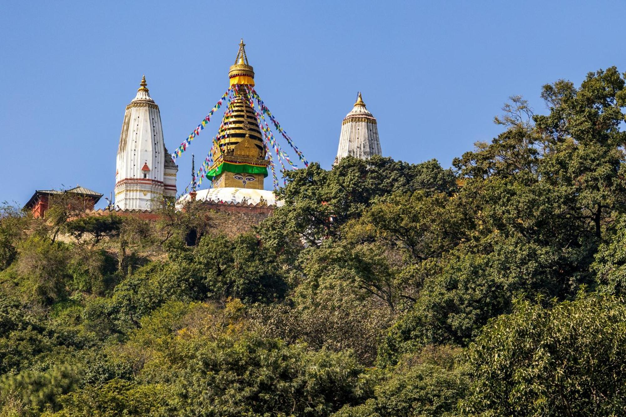 House Of Forrest, Service Apartments Kathmandu Exterior photo